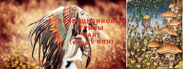 гидропоника Тында