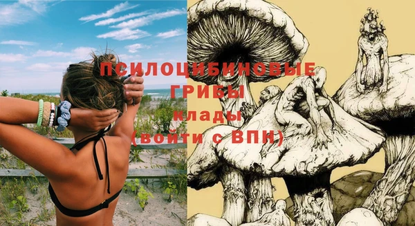 apvp Тутаев