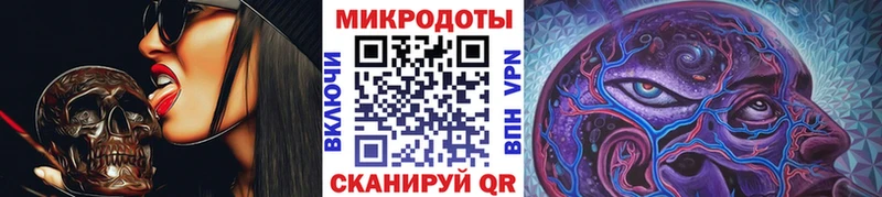 Галлюциногенные грибы Psilocybe  что такое   Гусиноозёрск 